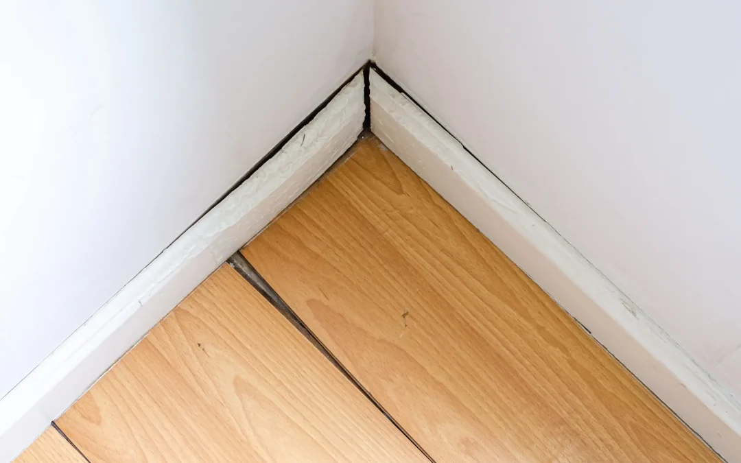 How to Find a Hidden Water Leak in Your Greenville Home