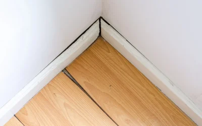 How to Find a Hidden Water Leak in Your Greenville Home