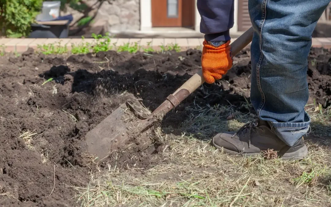 How Much Does Sewer Line Repair Cost in Greenville, SC?